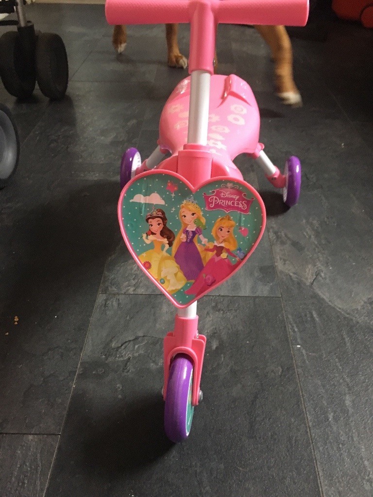 disney princess scuttlebug